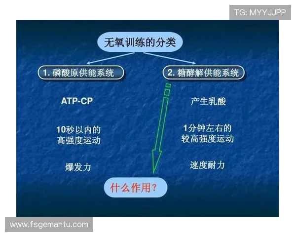 武汉羽毛球队反击战术深度解析与实战应用探讨